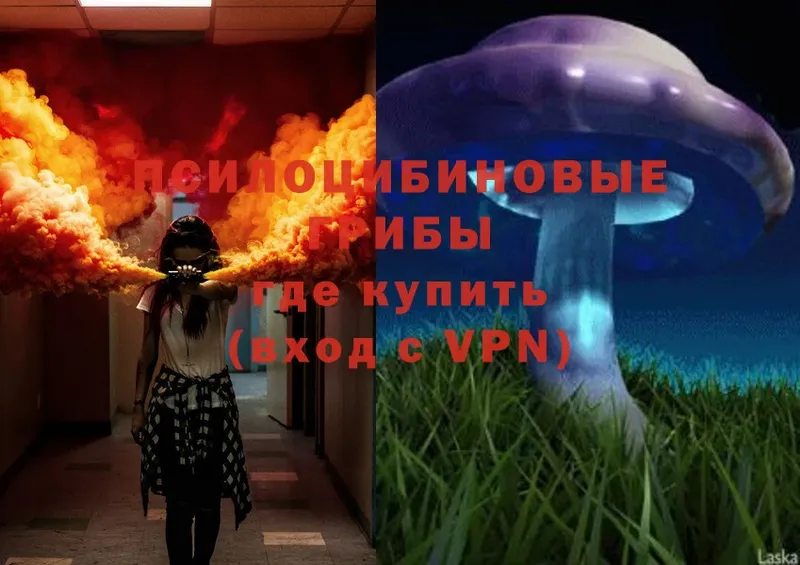 Магазин наркотиков Тольятти COCAIN  A-PVP  Амфетамин  Псилоцибиновые грибы  Бошки Шишки  ГАШИШ 
