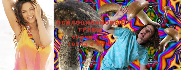 спиды Березники